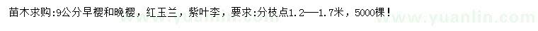 求購早櫻、晚櫻、紅玉蘭等