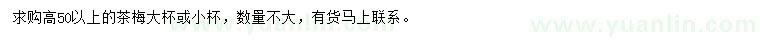 求購高50公分以上茶梅