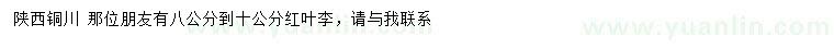 求購8-10公分紅葉李