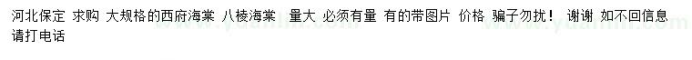 求購西府海棠、八棱海棠