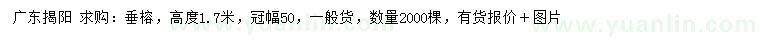 求購高度1.7米垂榕