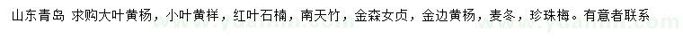 求購大葉黃楊、小葉黃楊、紅葉石楠等