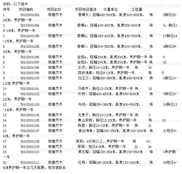 求購香樟、金桂、女貞等