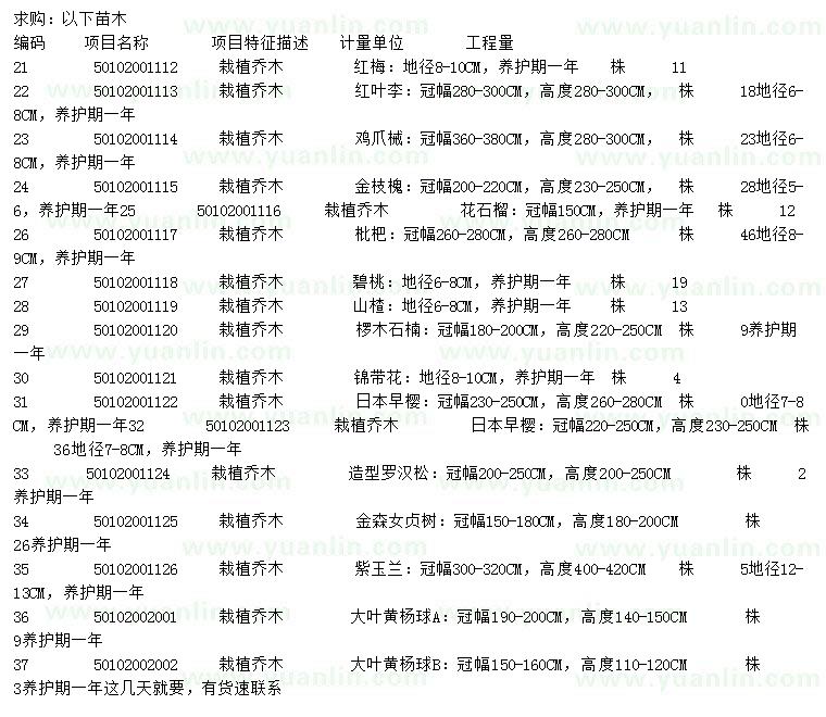 求購(gòu)紅梅、紅葉李、雞爪槭等