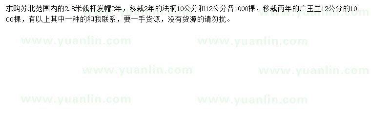 求購10、12公分法桐、12公分廣玉蘭