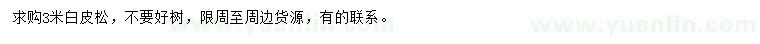 求購(gòu)3米白皮松