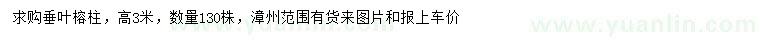 求購高3米垂葉榕柱