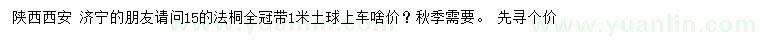 求購15公分法桐