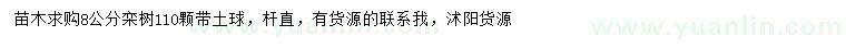 求購8公分欒樹