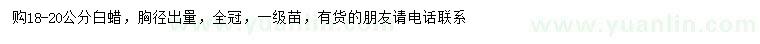 求購胸徑18-20公分白蠟