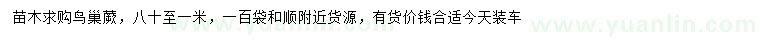 求購(gòu)80-100公分鳥巢蕨