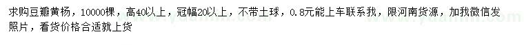 求購高40公分左右豆瓣黃楊