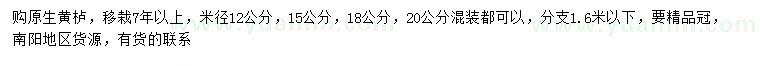求購米徑12、15、18、20公分原生黃櫨