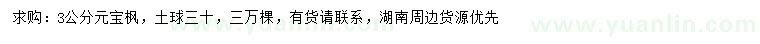 求購3公分元寶楓