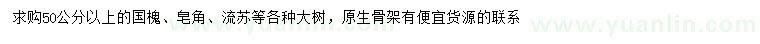 求購(gòu)國(guó)槐、皂角、流蘇
