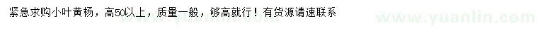 求購高50公分以上小葉黃楊