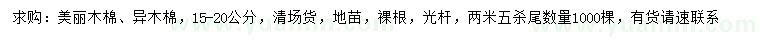 求購15-20公分美麗木棉、異木棉