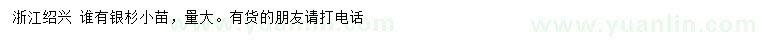 求購銀杉小苗