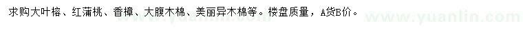 求購大葉榕、紅蒲桃、香樟等