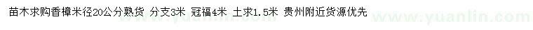 求購米徑20公分香樟