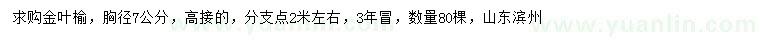 求購胸徑7公分金葉榆