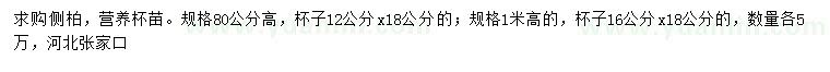 求購高80、100公分側(cè)柏