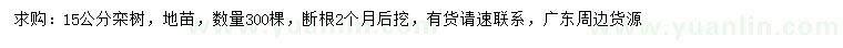 求購(gòu)15公分欒樹(shù)