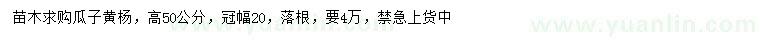 求購高50公分瓜子黃楊
