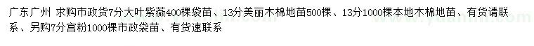 求購(gòu)大葉紫薇、美麗木棉、本地木棉等