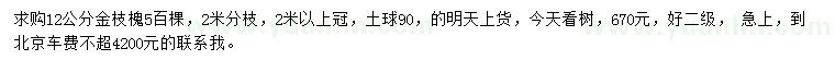 求購12公分金枝槐