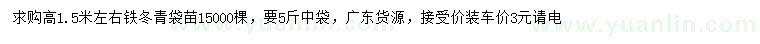 求購高1.5米左右鐵冬青