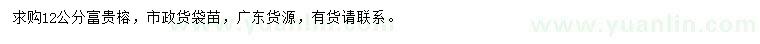 求購(gòu)12公分富貴榕