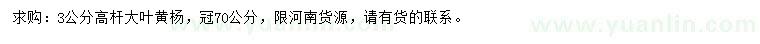 求購3公分高桿大葉黃楊