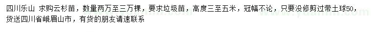 求購高度3-5米云杉苗