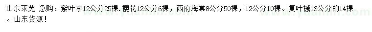 求購(gòu)紫葉李、櫻花、西府海棠等