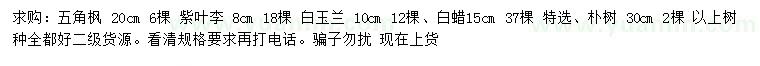 求購五角楓、白玉蘭、白蠟等