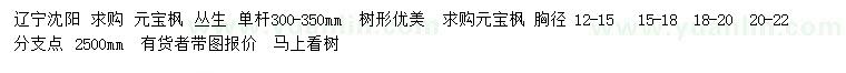求購(gòu)單桿30-35公分叢生元寶楓、胸徑12-15、15-18、18-20、20-22公分元寶楓
