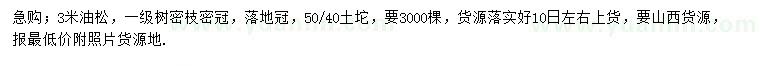 求購(gòu)3米油松