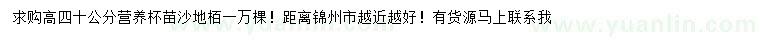 求購高40公分沙地柏