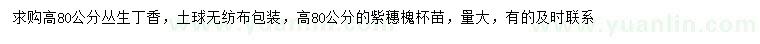 求購(gòu)高80公分叢生丁香、紫穗槐