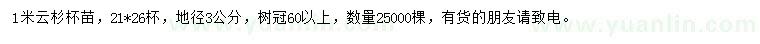 求購1米云杉