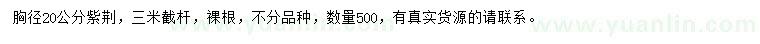 求購胸徑20公分紫荊