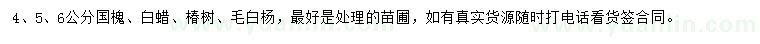 求購國槐、白蠟、椿樹等