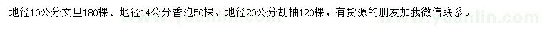 求購文旦、香泡、胡柚