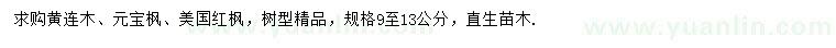 求購(gòu)黃連木、元寶楓、美國(guó)紅楓