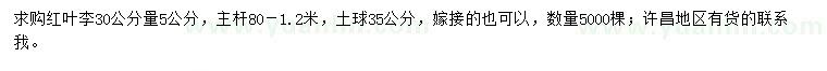 求購30公分量5公分紅葉李