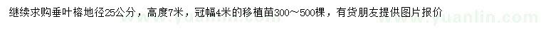 求購(gòu)地徑25公分垂葉榕