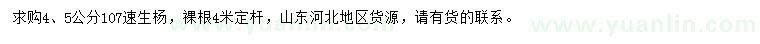 求購4、5公分107速生楊
