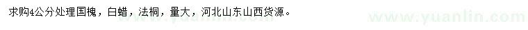 求購國槐、白蠟、法桐