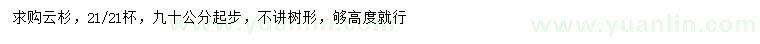 求購90公分起步云杉